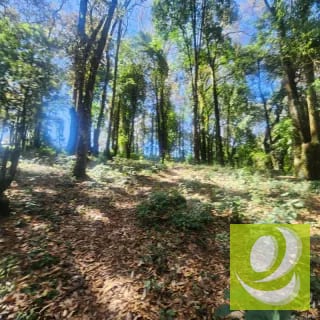 VENDO TERRENO RESIDENCIAL EN BOSQUE VIVO MIXCO — Terreno en Venta en Zona 1 Mixco, Guatemala, Ciudad — miniatura 1 de 4