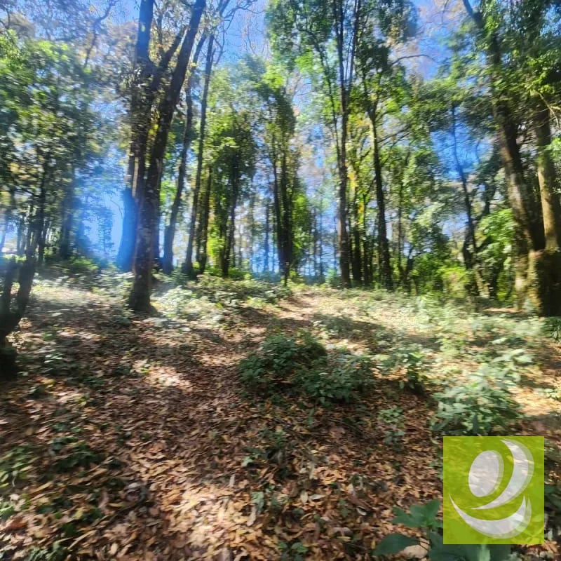 VENDO TERRENO RESIDENCIAL EN BOSQUE VIVO MIXCO — Terreno en Venta en Zona 1 Mixco, Guatemala, Ciudad — foto 1 de 4
