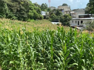 Terreno en Santa Catarina Pinula — Terreno en Alquiler en Santa Catarina Pinula, Guatemala, Ciudad — miniatura 2 de 2