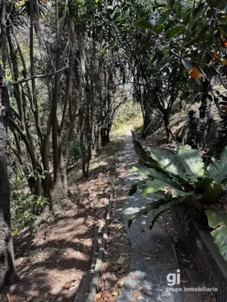 HERMOSA CASA EN COLONIA PRIMAVERA, ZONA 11 — Casa en Venta en La Primavera, Zona 11, Guatemala, Ciudad — miniatura 3 de 15