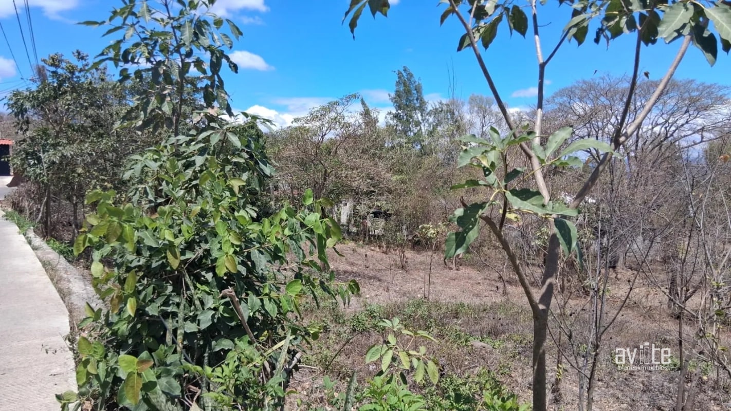 Terreno de 1,510 metros en San Antonio La Paz, El Progreso Q550,000 - 1