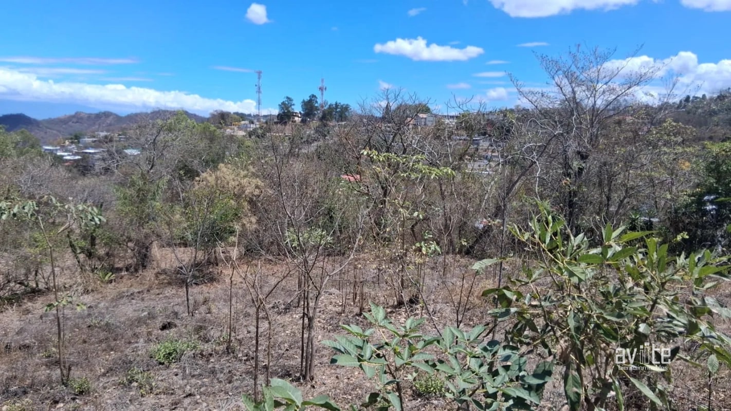 Terreno de 1,510 metros en San Antonio La Paz, El Progreso Q550,000 - 6