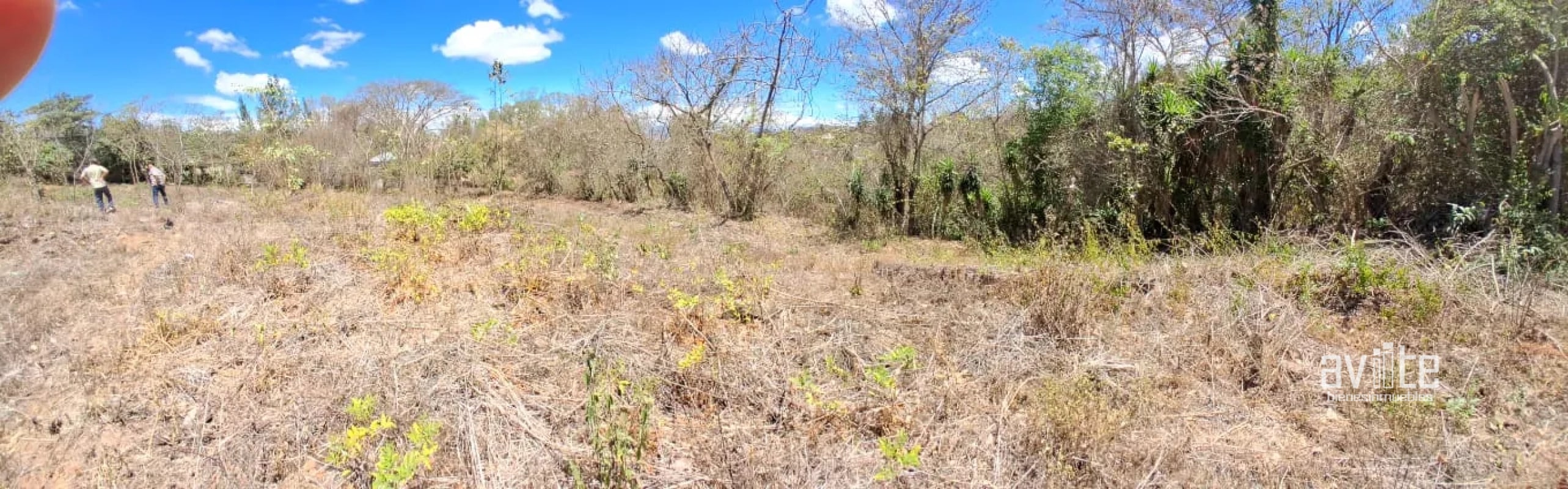 Terreno de 1,510 metros en San Antonio La Paz, El Progreso Q550,000 - 5