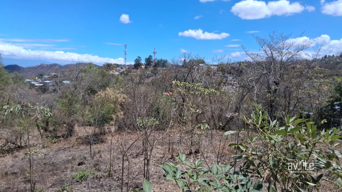 Terreno de 1,510 metros en San Antonio La Paz, El Progreso Q550,000 - 4