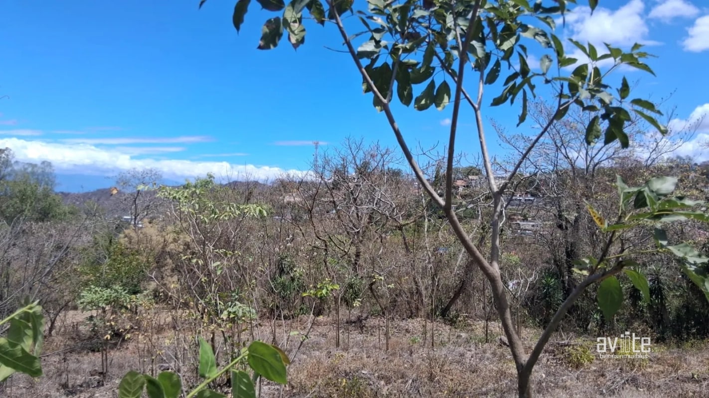 Terreno de 1,510 metros en San Antonio La Paz, El Progreso Q550,000 - 3
