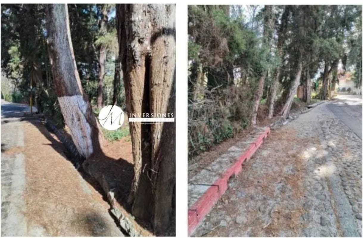 Terreno en Condominio en Santa Catarina Pinula — Terreno en Venta en Santa Catarina Pinula, Guatemala, Ciudad — foto 3 de 5