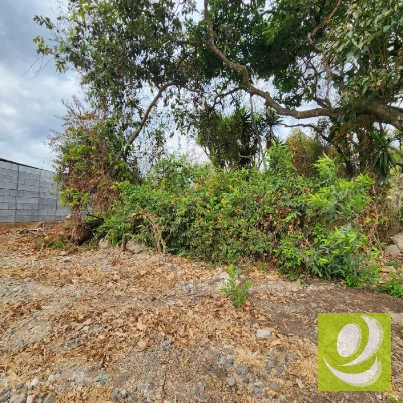 Vendo Terreno dentro de Mayan Golf Villa Nueva - 9