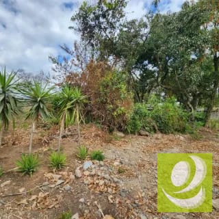 Vendo Terreno dentro de Mayan Golf Villa Nueva — Terreno en Venta en Villa Nueva, Guatemala, Ciudad — miniatura 4 de 11