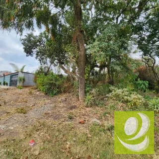 Vendo Terreno dentro de Mayan Golf Villa Nueva — Terreno en Venta en Villa Nueva, Guatemala, Ciudad — miniatura 2 de 11