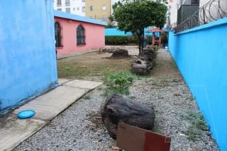 CASA EN RENTA LAS CHARCAS ZONA 11 — Casa en Alquiler en Las Charcas, Zona 11, Guatemala, Ciudad — miniatura 4 de 13
