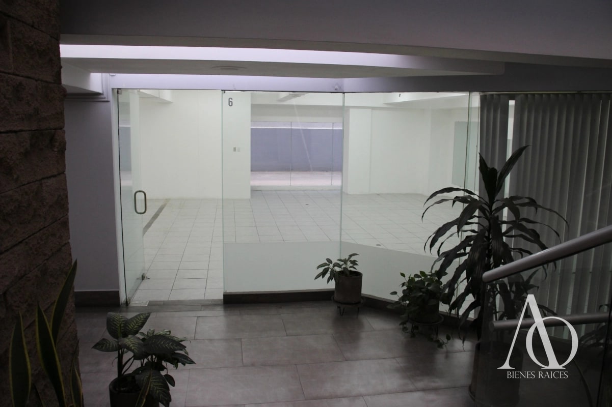 Local en Alquiler Edificio Murano Center, zona 10 N1 / EN DIRECTO - 4