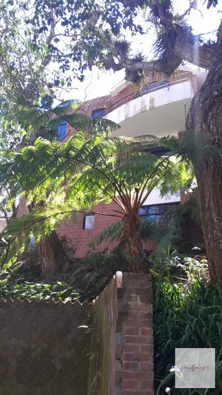 ALQUILER DE APARTAMENTO  EN CARRETERA A EL SALVADOR VILLA CAFETTO - 4