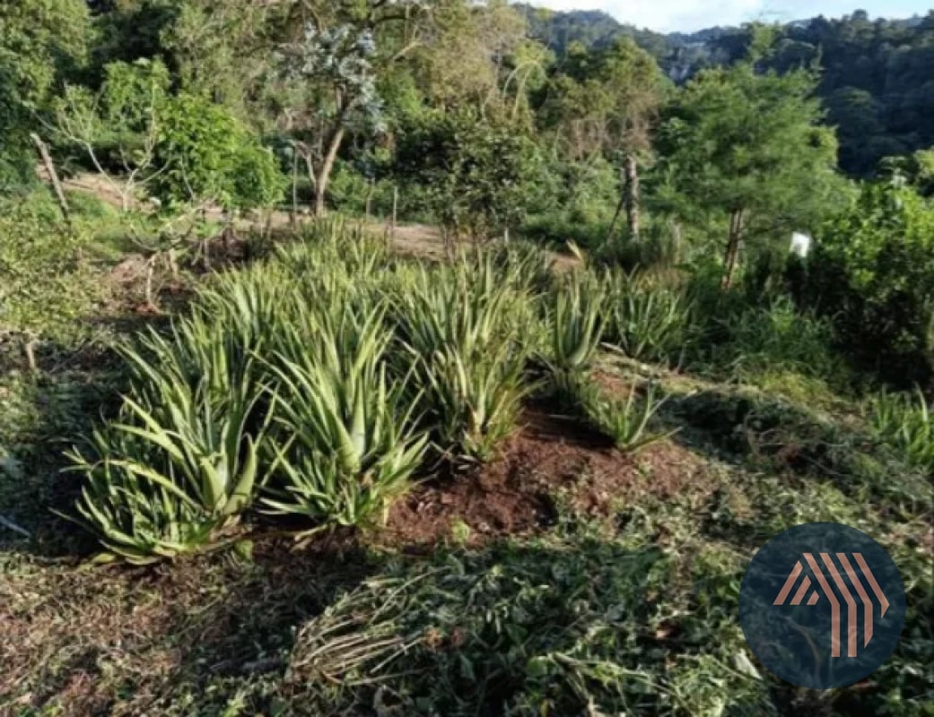 VENTA DE TERRENO RESIDENCIAL - HACIENDA REAL, ZONA 16 - 7