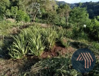 VENTA DE TERRENO RESIDENCIAL - HACIENDA REAL, ZONA 16 — Terreno en Venta en Hacienda Real, Zona 16, Guatemala, Ciudad — miniatura 7 de 8