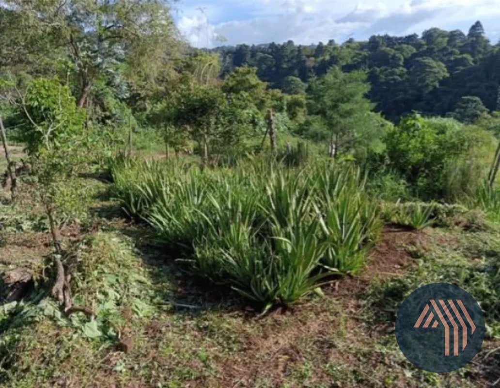 VENTA DE TERRENO RESIDENCIAL - HACIENDA REAL, ZONA 16 - 4