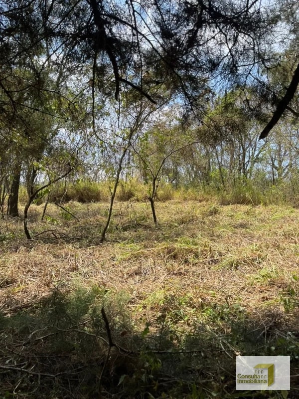 Casa y Campo/ terreno en venta/ 12120v2 - 4
