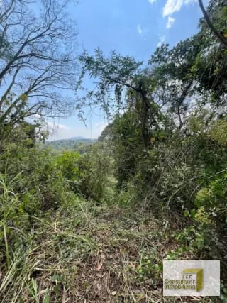Casa y Campo/ terreno en venta/ 12120v2 — Terreno en Venta en Carretera a El Salvador, Guatemala, Ciudad — miniatura 2 de 8