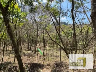 Casa y Campo/ terreno en venta/ 3286v2 — Terreno en Venta en Carretera a El Salvador, Guatemala, Ciudad — miniatura 5 de 6