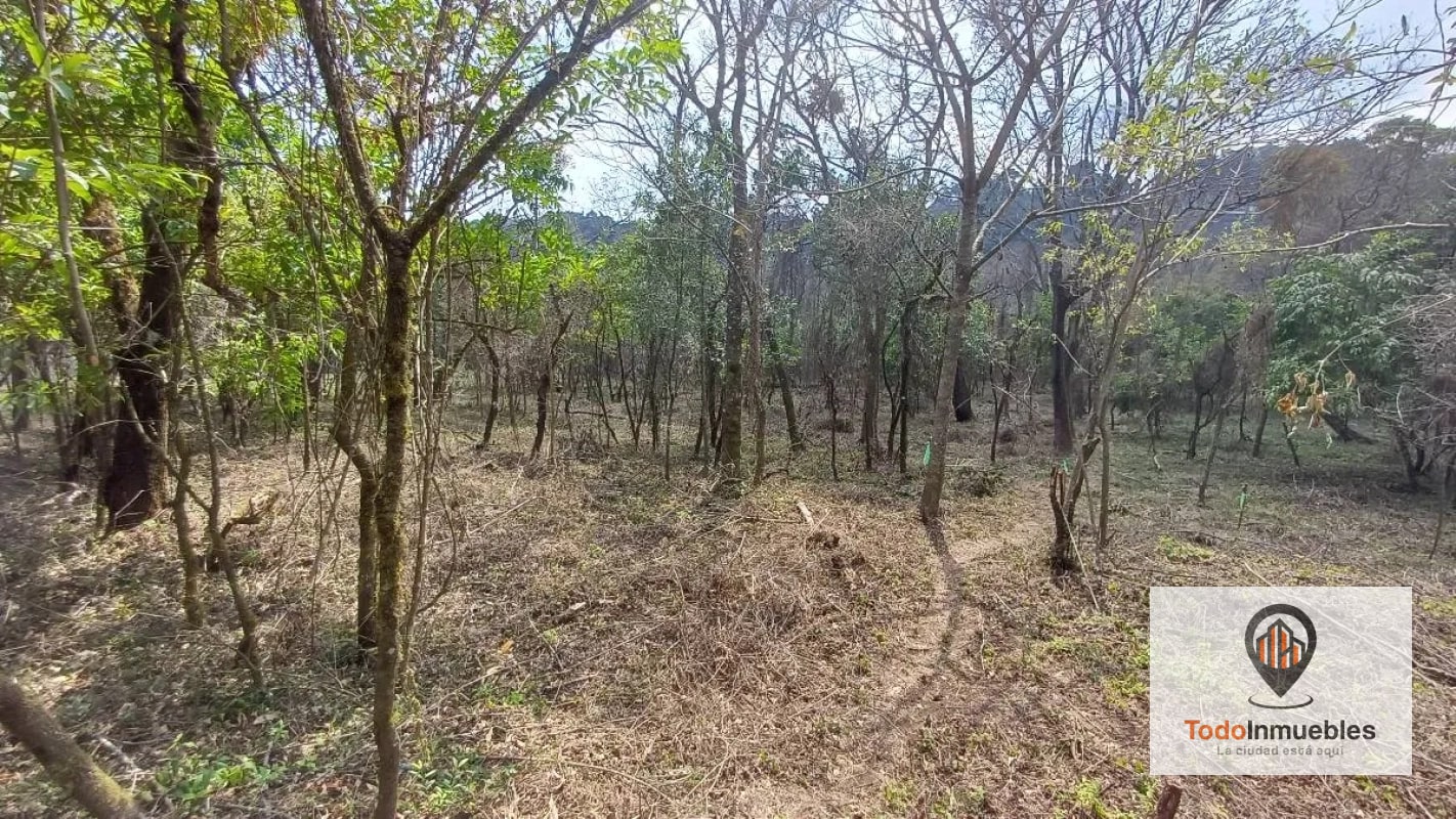 Terrenos en Venta en Casa y Campo km 23.5 CES - 1