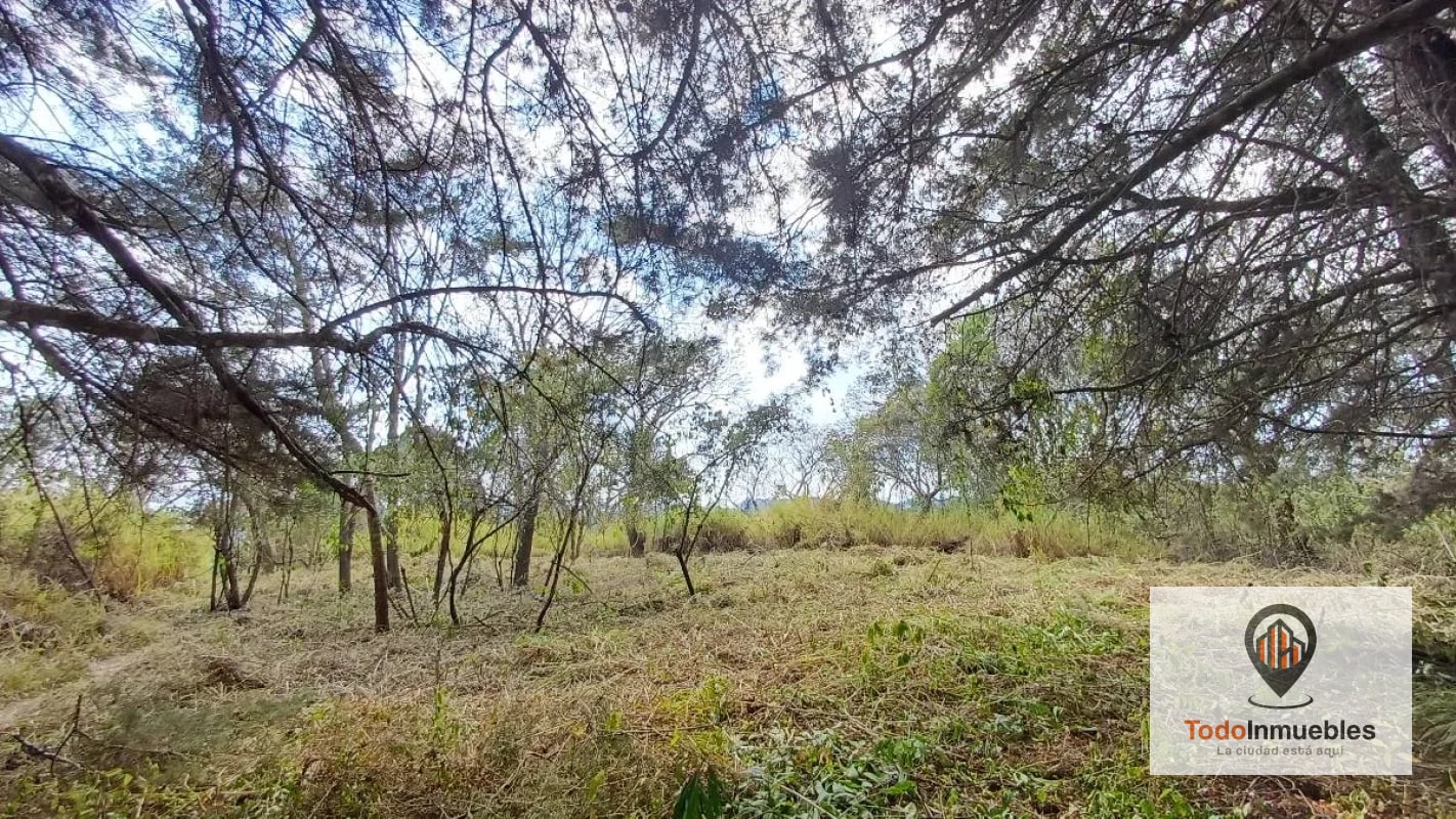 Terrenos en Venta en Casa y Campo km 23.5 CES - 14