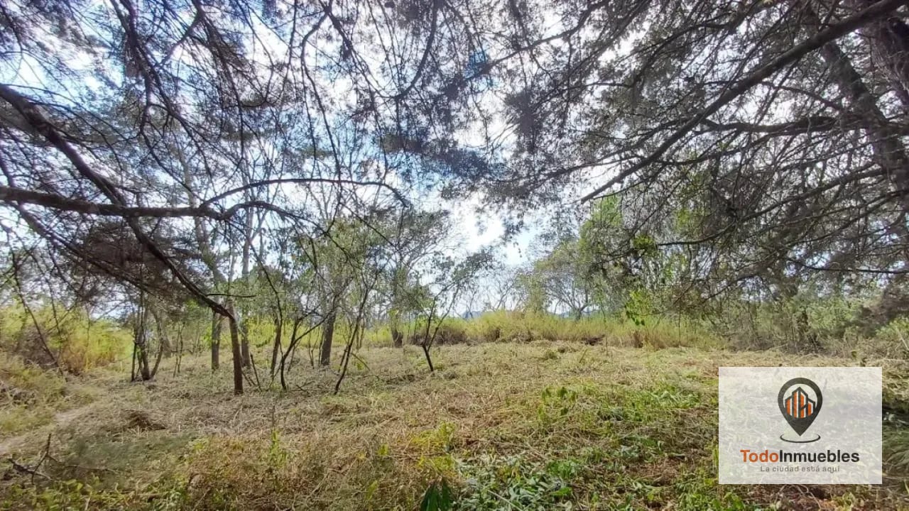 Terrenos en Venta en Casa y Campo km 23.5 CES — Terreno en Venta en km 21-25, Carretera a El Salvador, Guatemala, Ciudad — foto 14 de 15