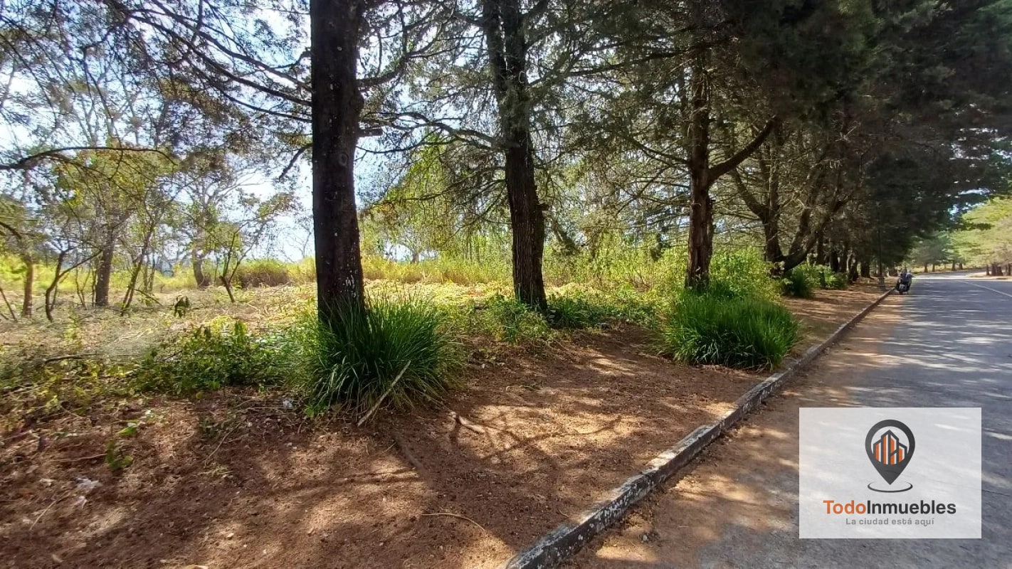 Terrenos en Venta en Casa y Campo km 23.5 CES - 13