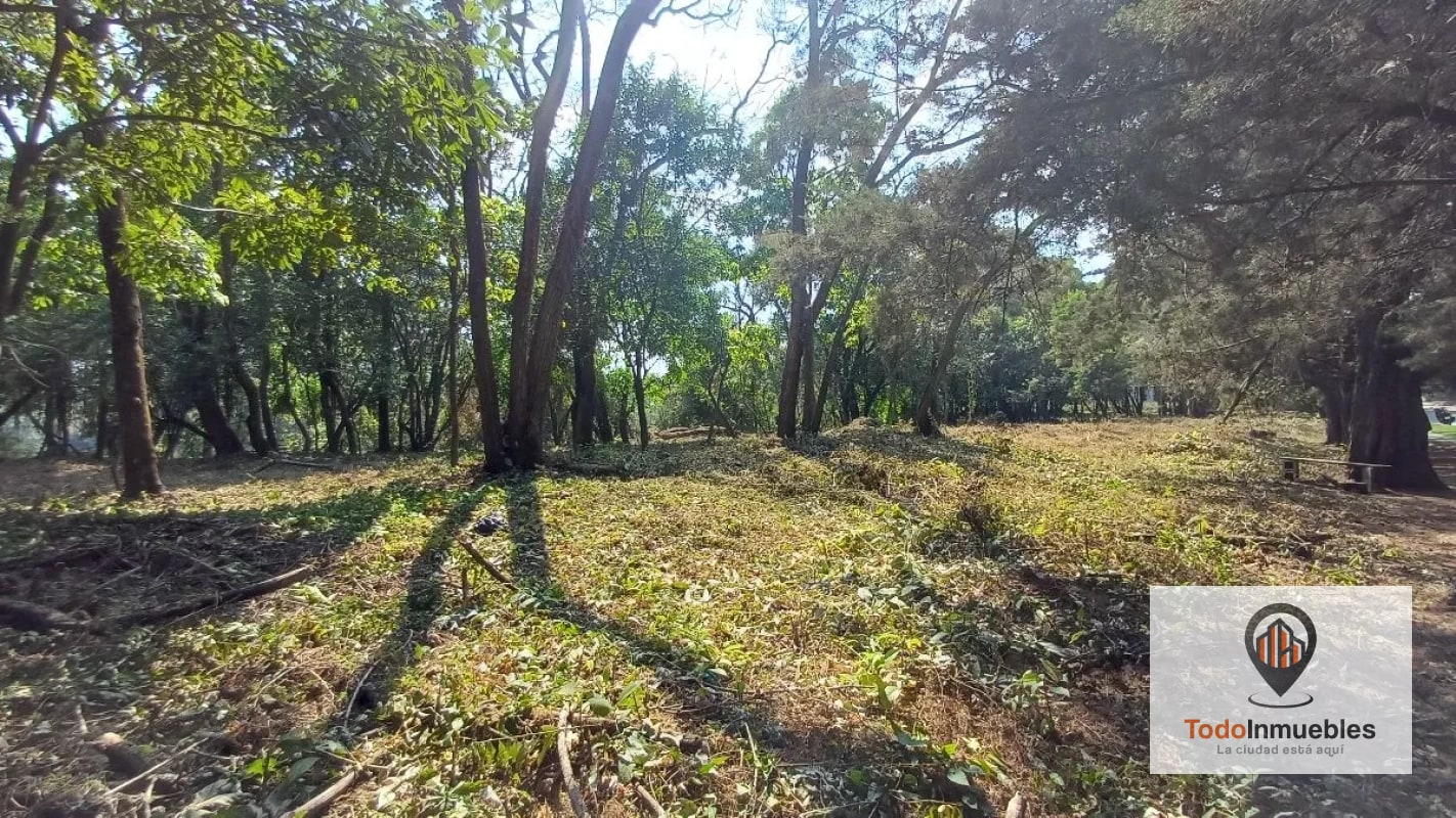 Terrenos en Venta en Casa y Campo km 23.5 CES - 11
