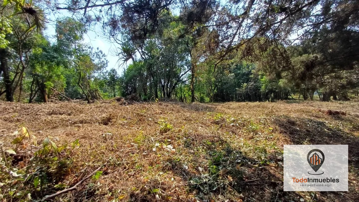 Terrenos en Venta en Casa y Campo km 23.5 CES - 10