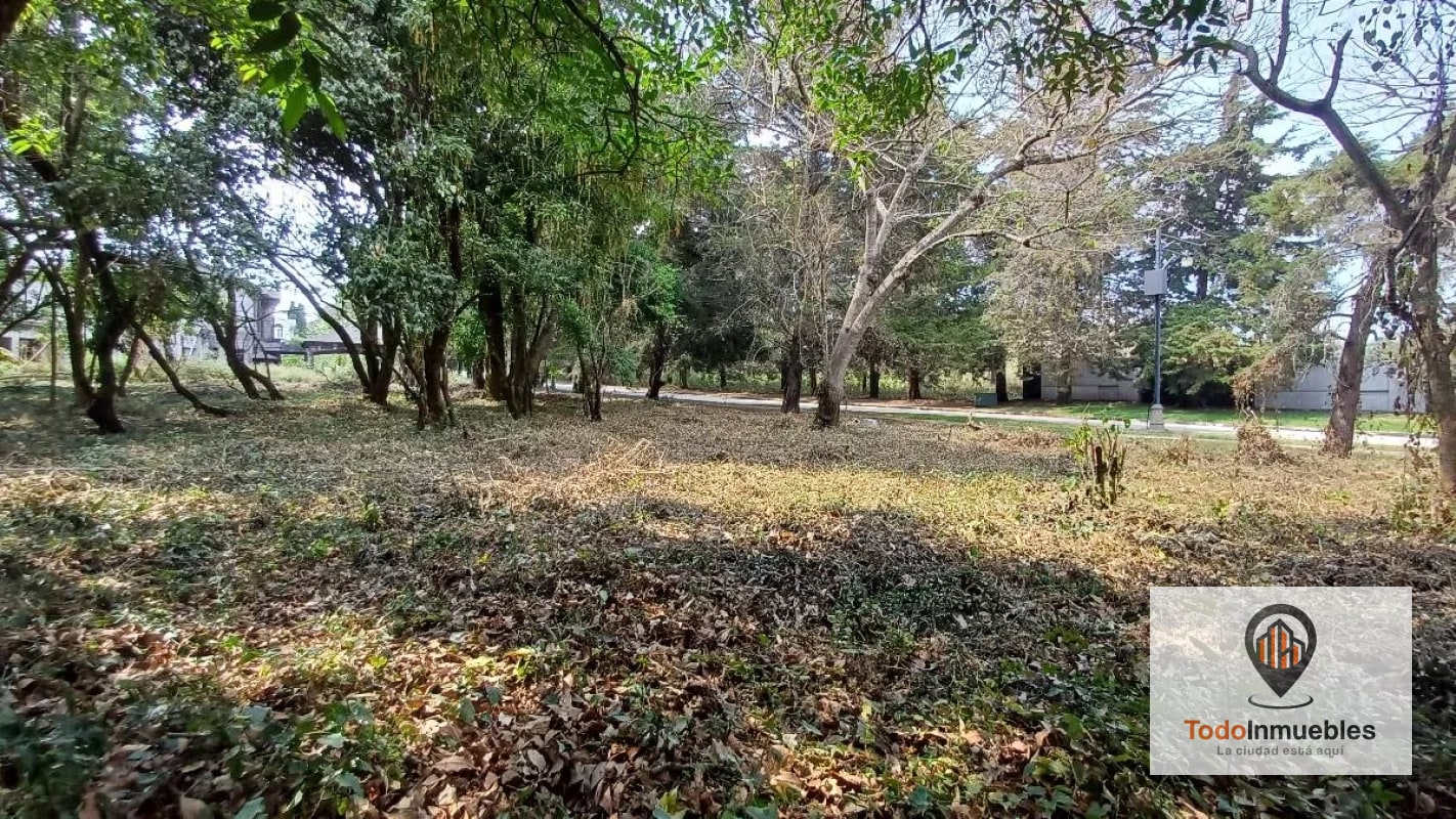 Terrenos en Venta en Casa y Campo km 23.5 CES - 9