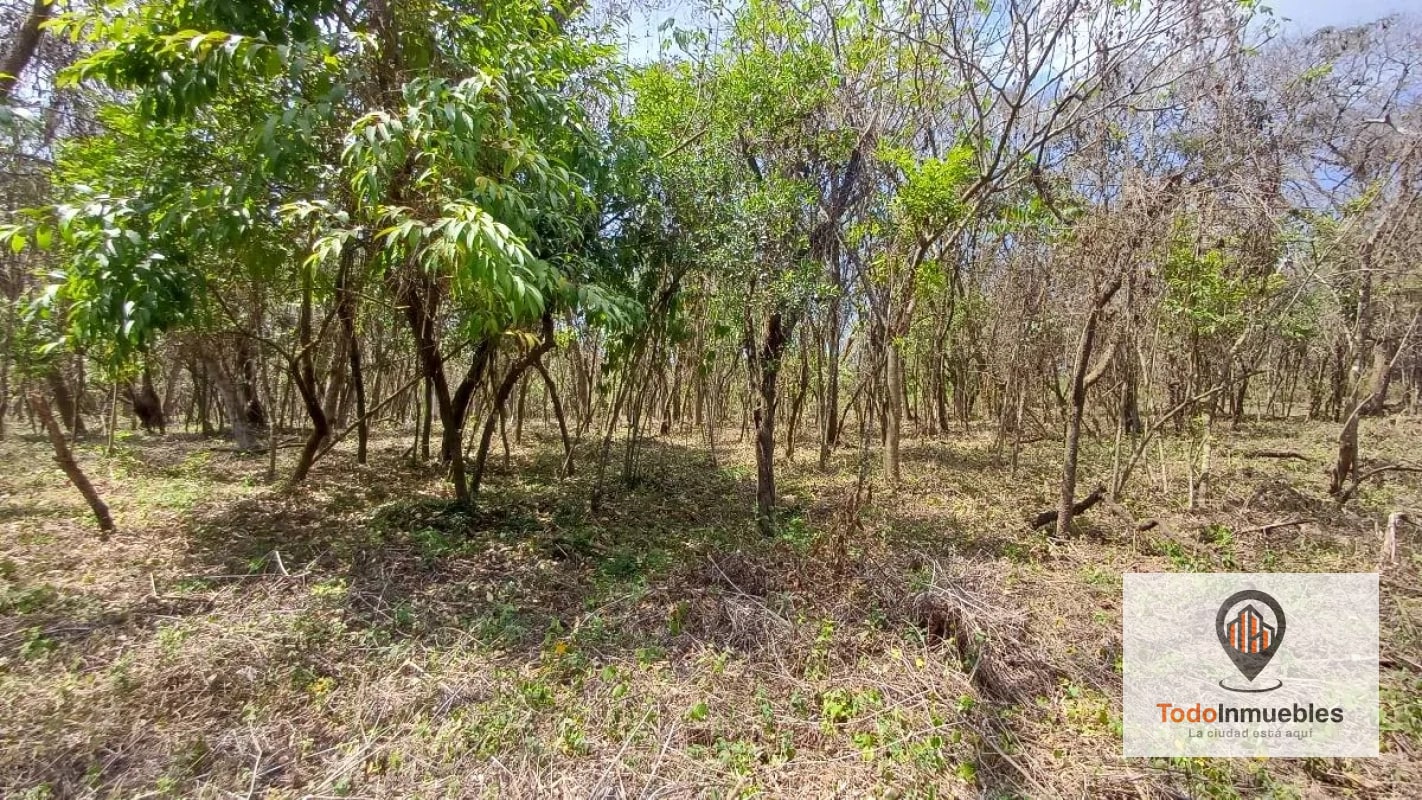 Terrenos en Venta en Casa y Campo km 23.5 CES - 3