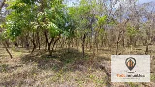Terrenos en Venta en Casa y Campo km 23.5 CES — Terreno en Venta en km 21-25, Carretera a El Salvador, Guatemala, Ciudad — miniatura 3 de 15