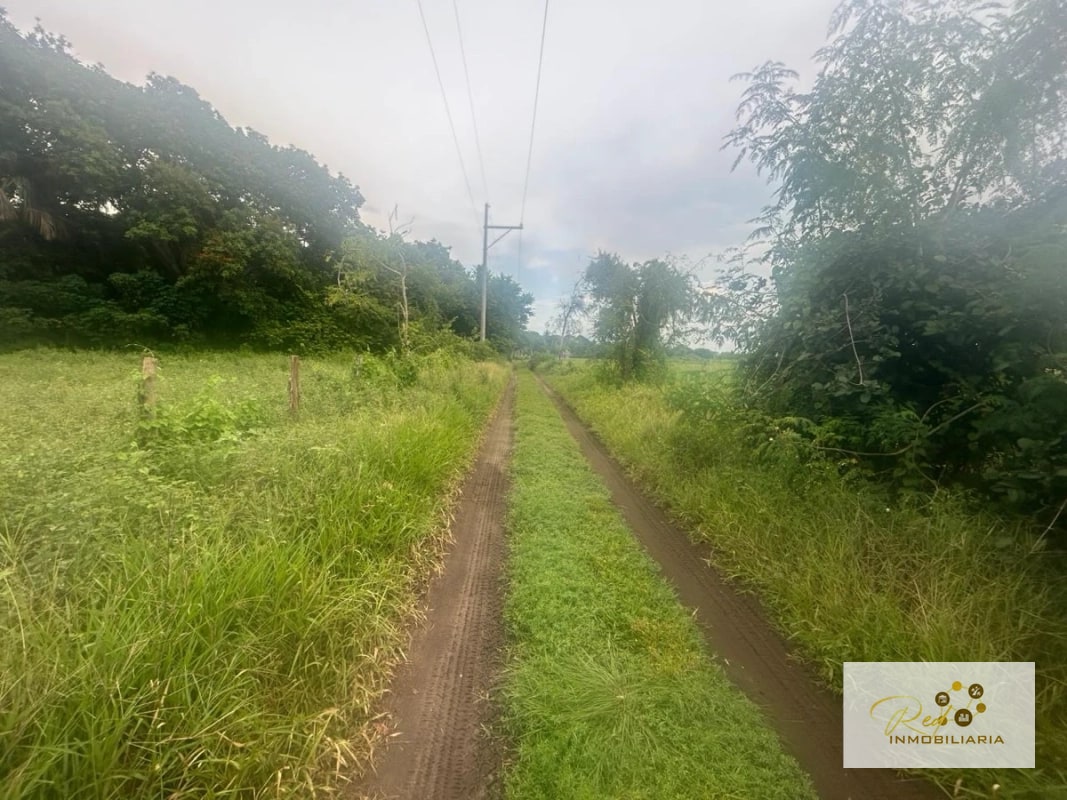 VENTA TERRENOS EN MONTERRICO - 6