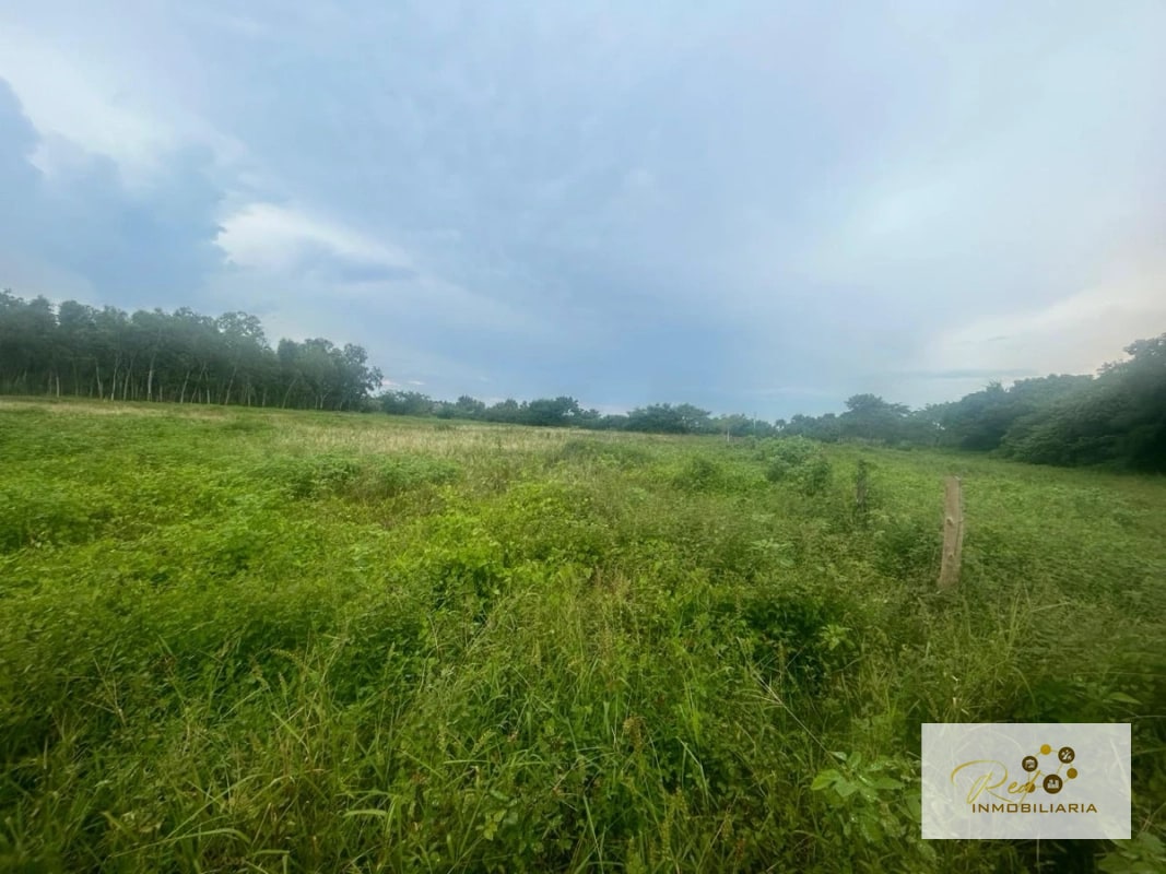 VENTA TERRENOS EN MONTERRICO - 8