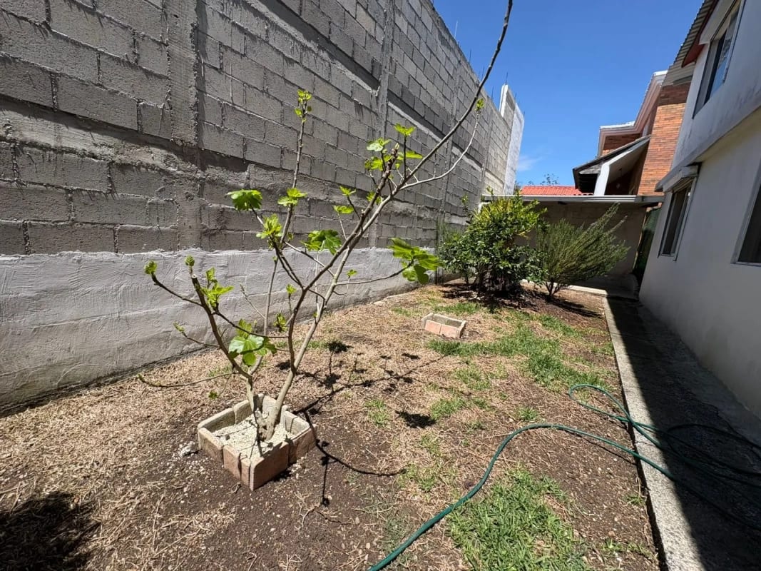 Propiedad en Venta km 19.5 CES atrás de Pricesmart — Casa en Venta en Carretera a El Salvador, Guatemala, Ciudad — foto 2 de 16