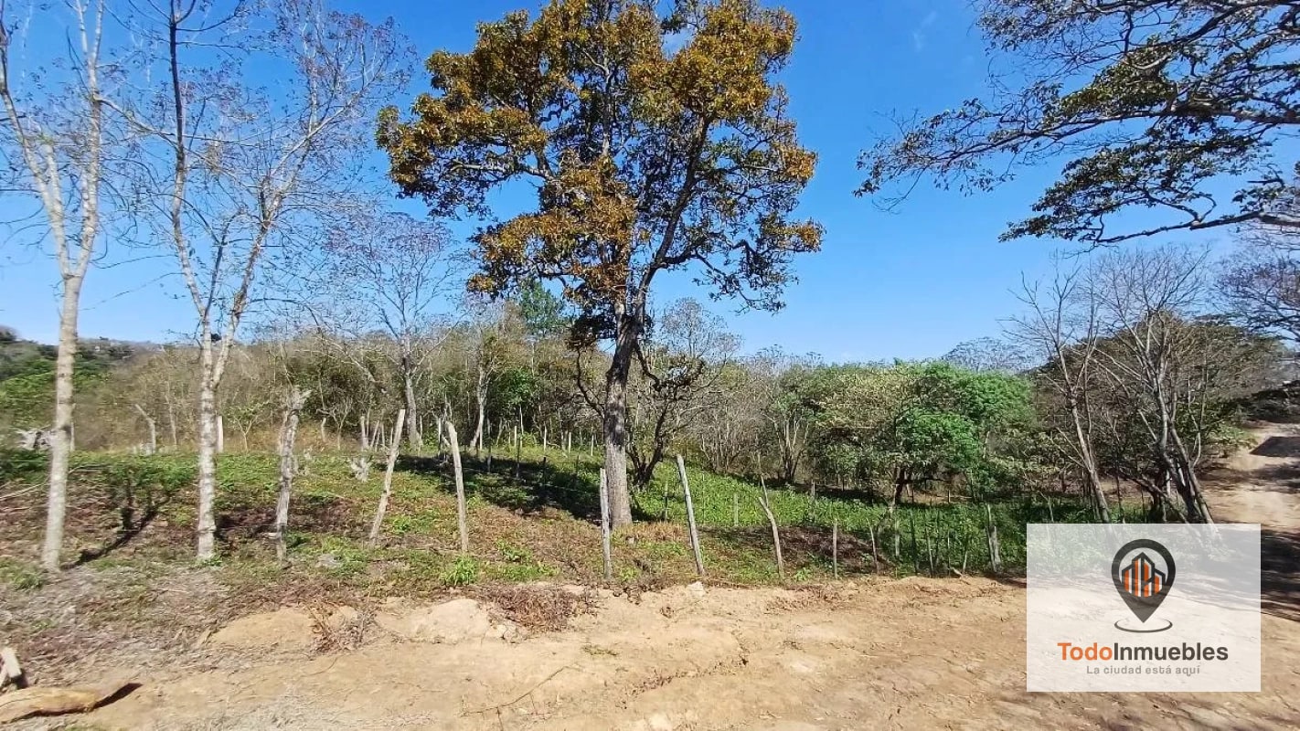 Terreno en Venta en Hacienda Real z16 - 4