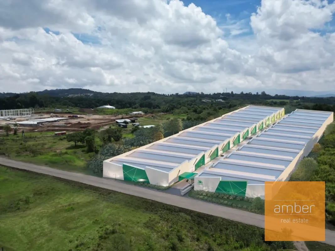 Laguna Logistic Park, CAES — Bodega / Ofibodega en Venta en Carretera a El Salvador, Guatemala, Ciudad — foto 4 de 7