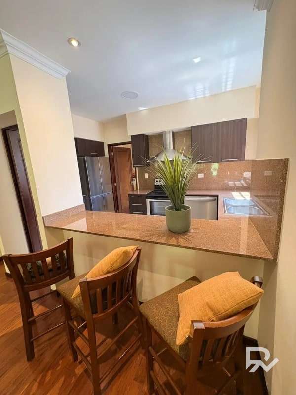 Alquiler o venta de apartamento en Edificio Plenum zona 14 - 3