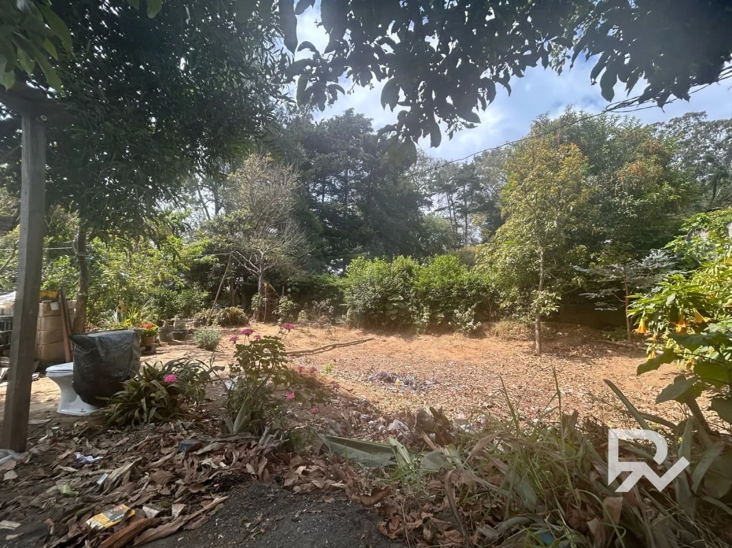 Venta de terreno rustico en San Lucas - 7