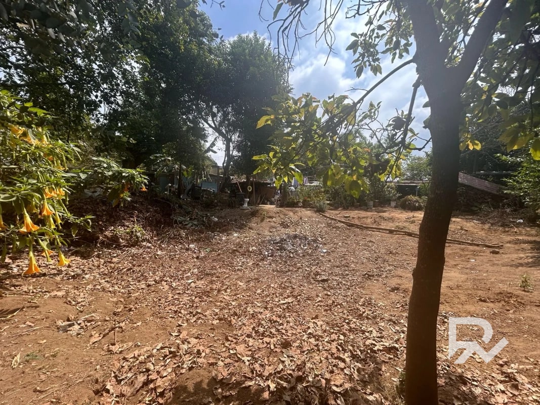 Venta de terreno rustico en San Lucas - 6