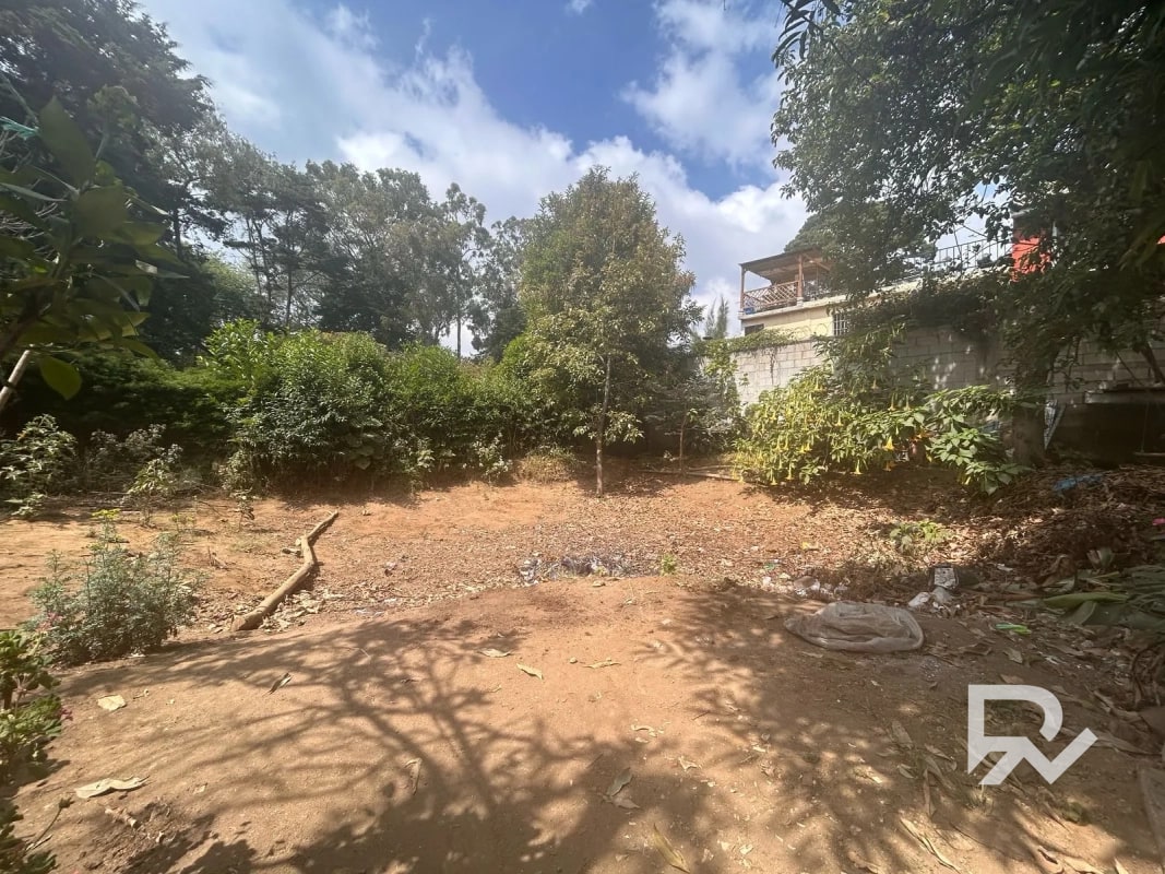 Venta de terreno rustico en San Lucas - 3