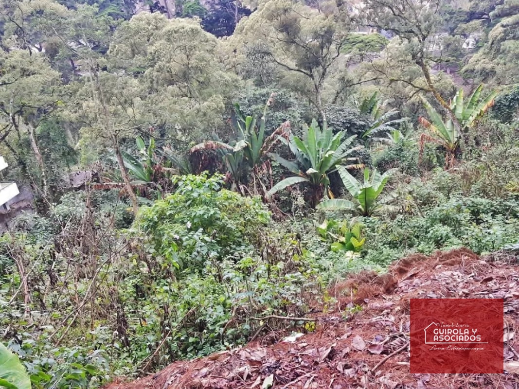 TERRENO EN VENTA EN SANTA ROSALIA 085TVSTD/ NUEVO PRECIO - 9