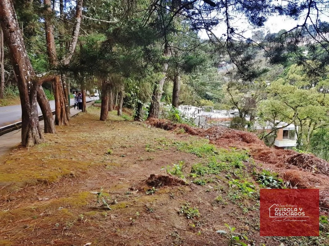 TERRENO EN VENTA EN SANTA ROSALIA 085TVSTD/ NUEVO PRECIO - 7