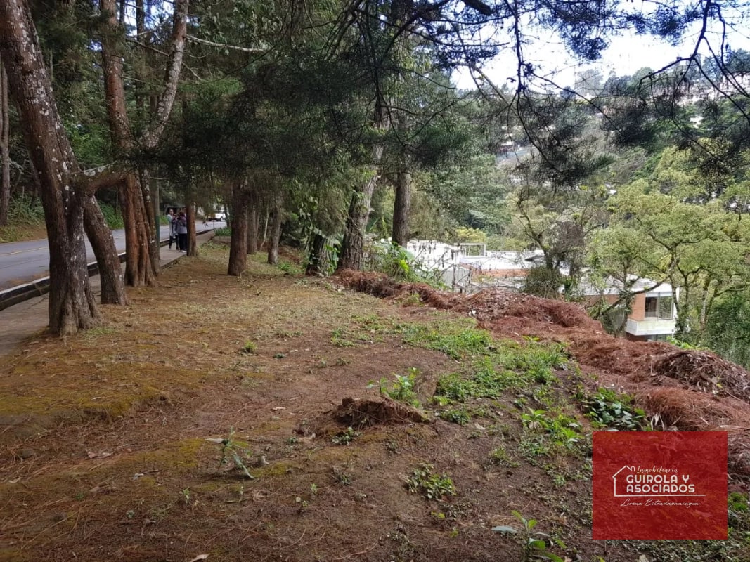 TERRENO EN VENTA EN SANTA ROSALIA 085TVSTD/ NUEVO PRECIO - 6