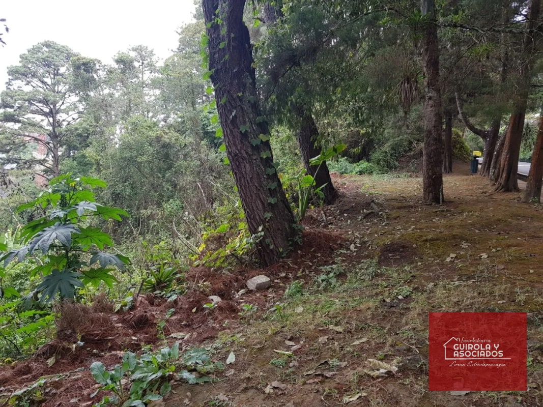 TERRENO EN VENTA EN SANTA ROSALIA 085TVSTD/ NUEVO PRECIO - 5