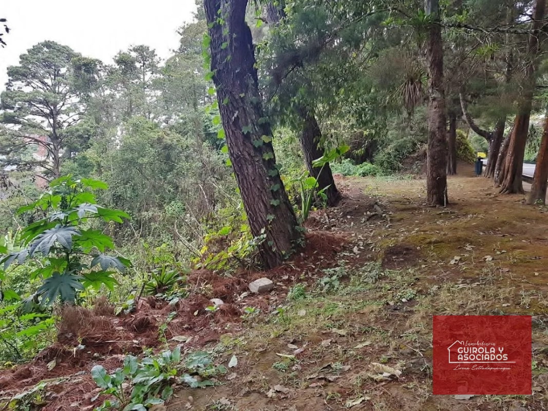 TERRENO EN VENTA EN SANTA ROSALIA 085TVSTD/ NUEVO PRECIO - 4