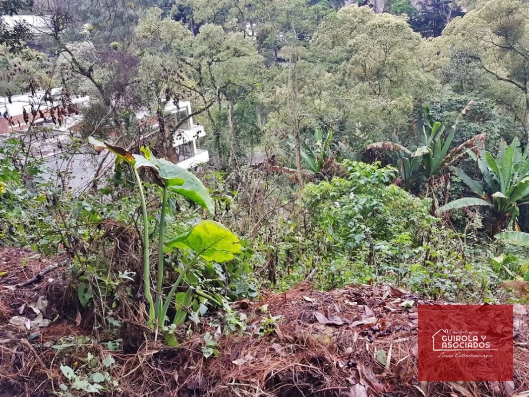 TERRENO EN VENTA EN SANTA ROSALIA 085TVSTD/ NUEVO PRECIO - 3