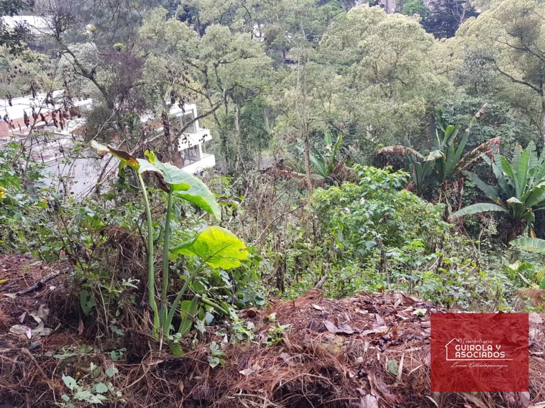 TERRENO EN VENTA EN SANTA ROSALIA 085TVSTD/ NUEVO PRECIO - 2