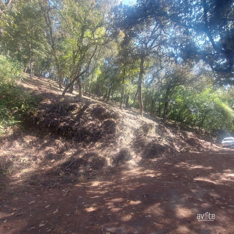 El Encinal, tronco 10.   Terreno de 4,460 varas en venta Q900,000 más impuestos, negociable - 9