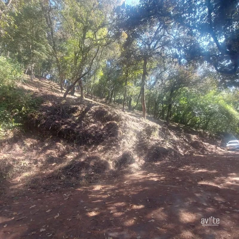 El Encinal, tronco 10. Terreno de 4,460 varas en venta Q900,000 más impuestos, negociable — Terreno en Venta en El Encinal, Zona 7 Mixco, Guatemala, Ciudad — foto 9 de 9