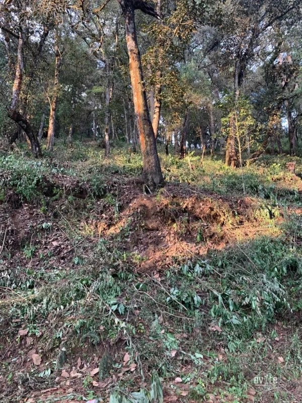 El Encinal, tronco 10.   Terreno de 4,460 varas en venta Q900,000 más impuestos, negociable - 2